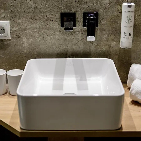 酒店 萨尔茨堡霍夫酒店