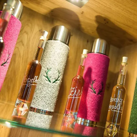 萨尔茨堡霍夫酒店 3*